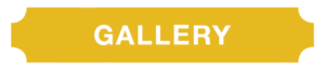 gold button with the word gallery