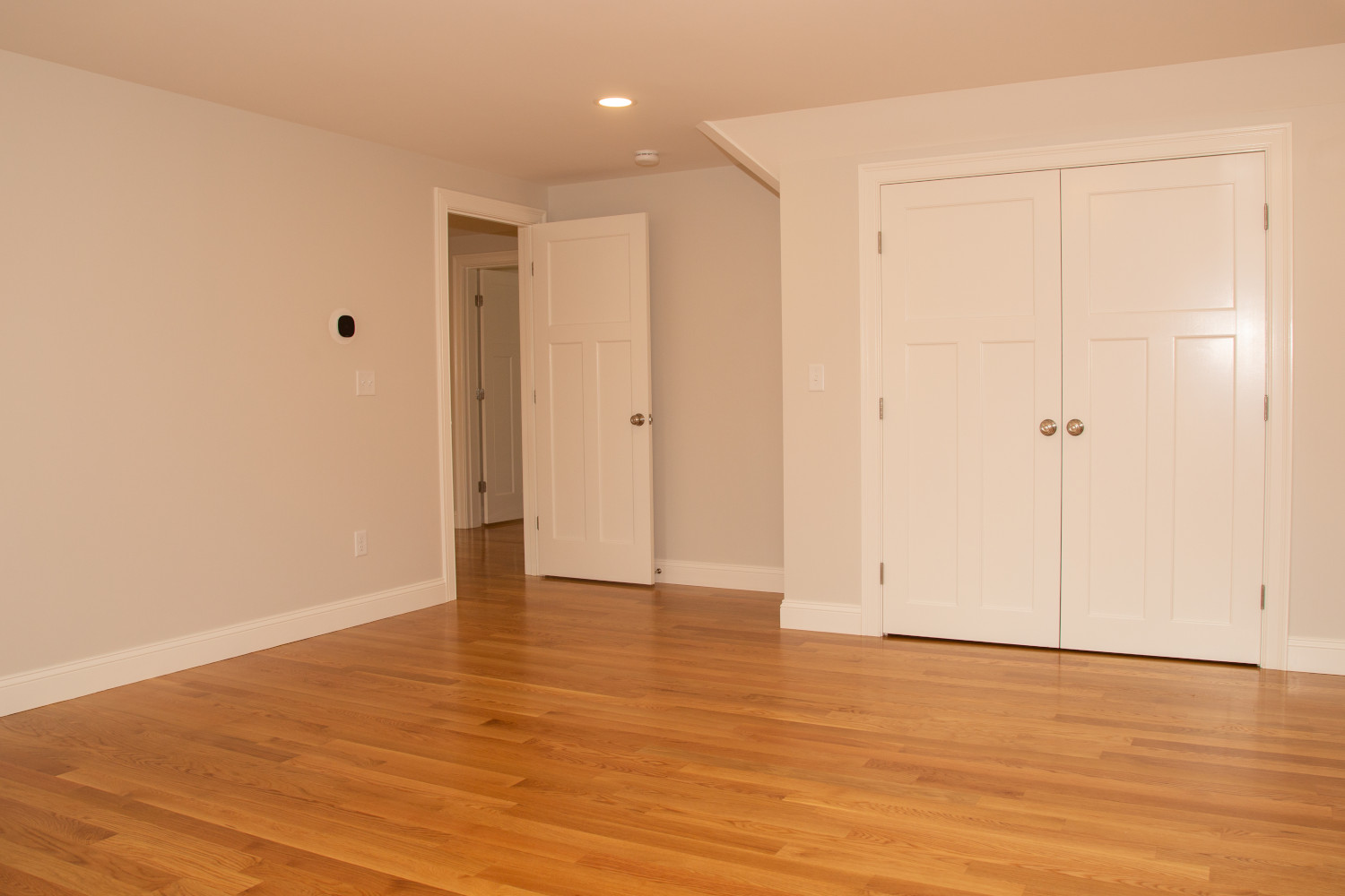 Room with wood floor and closet